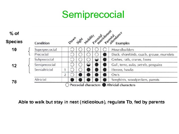 Semiprecocial % of Species 10 12 78 Able to walk but stay in nest