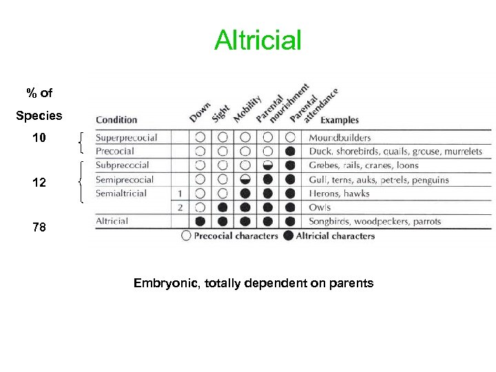 Altricial % of Species 10 12 78 Embryonic, totally dependent on parents 
