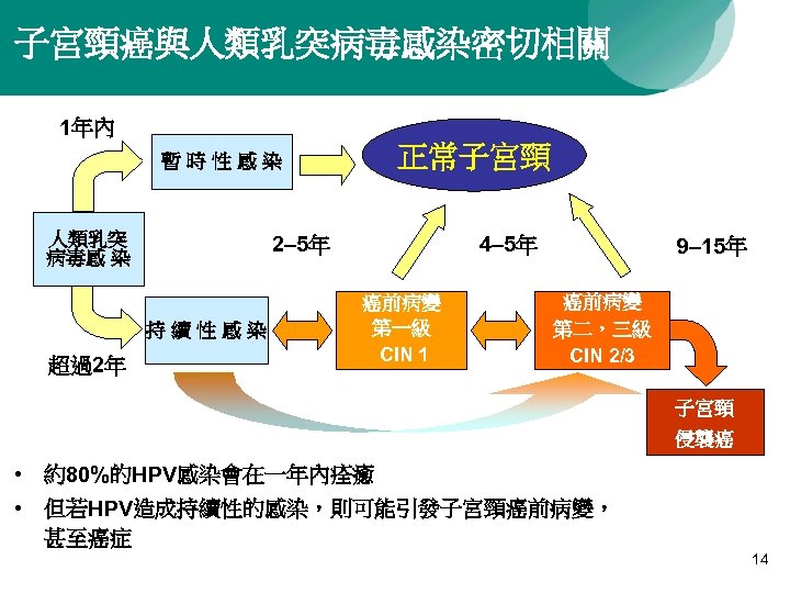 子宮頸癌與人類乳突病毒感染密切相關 1年內 正常子宮頸 暫時性感染 人類乳突 病毒感 染 2– 5年 持續性感染 超過2年 4– 5年 癌前病變