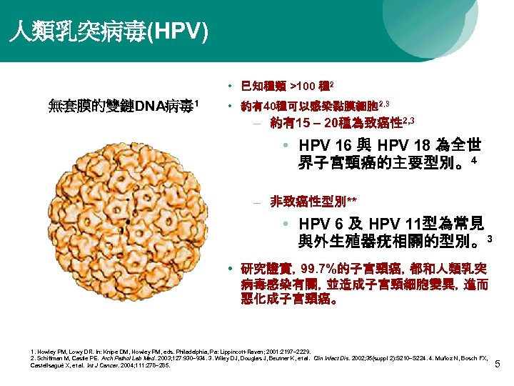 人類乳突病毒(HPV) • 已知種類 >100 種 2 無套膜的雙鏈DNA病毒 1 • 約有40種可以感染黏膜細胞 2, 3 – 約有15