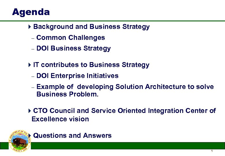 Agenda 4 Background and Business Strategy – Common Challenges – DOI Business Strategy 4