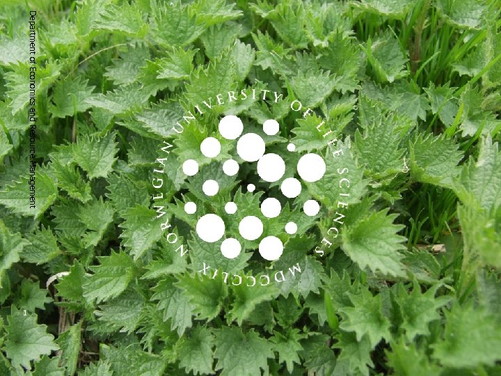 Department of Economics and Resource Management 1 