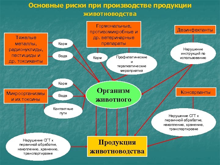 Основные риски производстве продукции животноводства Тяжелые металлы, радионуклиды, пестициды и др. токсиканты Корм Вода