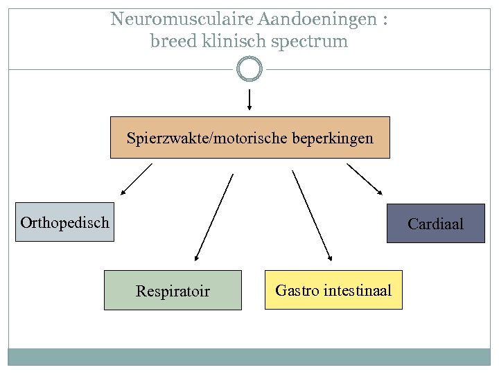 Neuromusculaire Aandoeningen : breed klinisch spectrum Spierzwakte/motorische beperkingen Orthopedisch Cardiaal Respiratoir Gastro intestinaal 