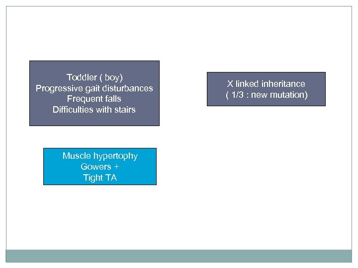 Toddler ( boy) Progressive gait disturbances Frequent falls Difficulties with stairs Muscle hypertophy Gowers