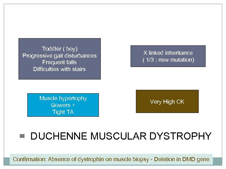 Toddler ( boy) Progressive gait disturbances Frequent falls Difficulties with stairs Muscle hypertophy Gowers