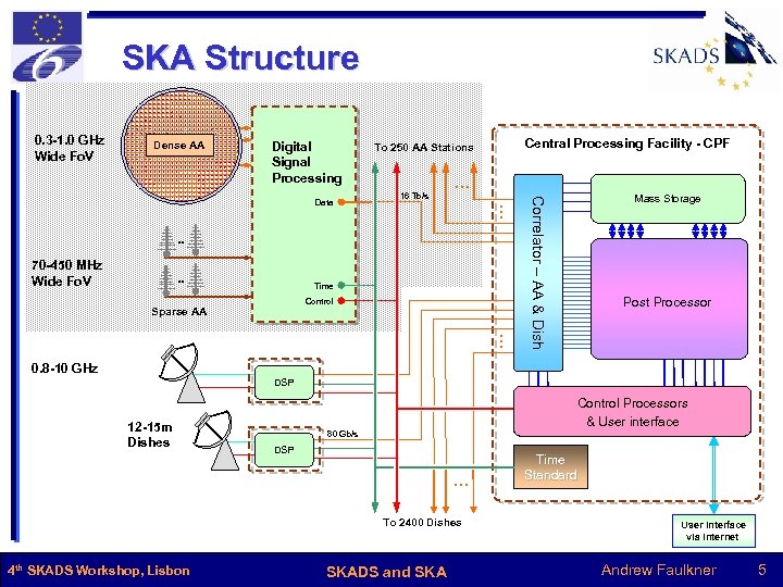 SKA Structure 0. 3 -1. 0 GHz Wide Fo. V Dense AA Digital Signal