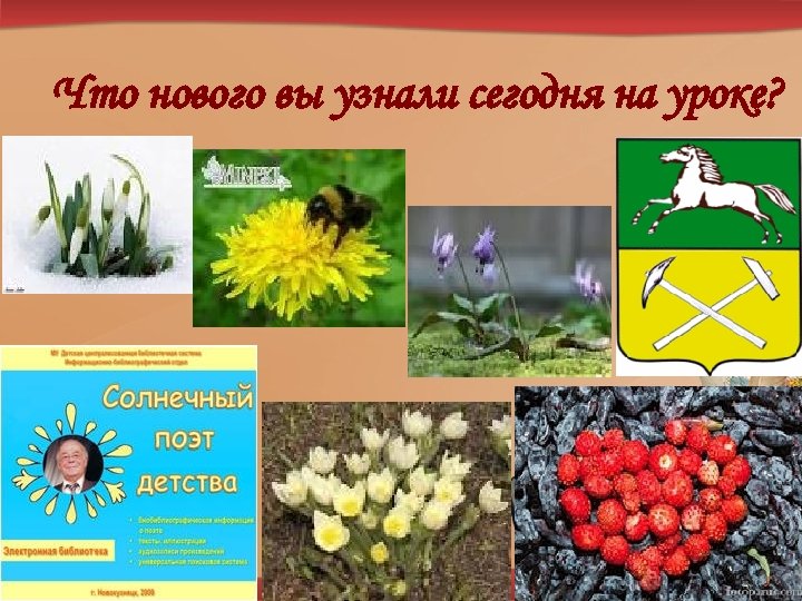 Что нового вы узнали сегодня на уроке? 