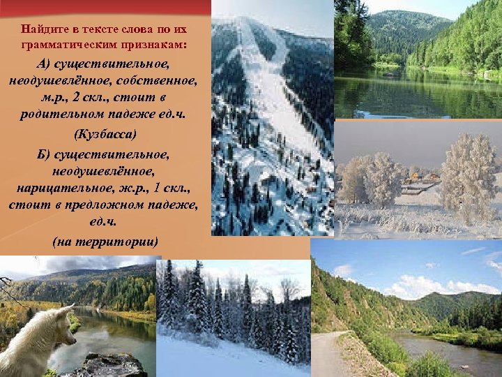 Найдите в тексте слова по их грамматическим признакам: А) существительное, неодушевлённое, собственное, м. р.