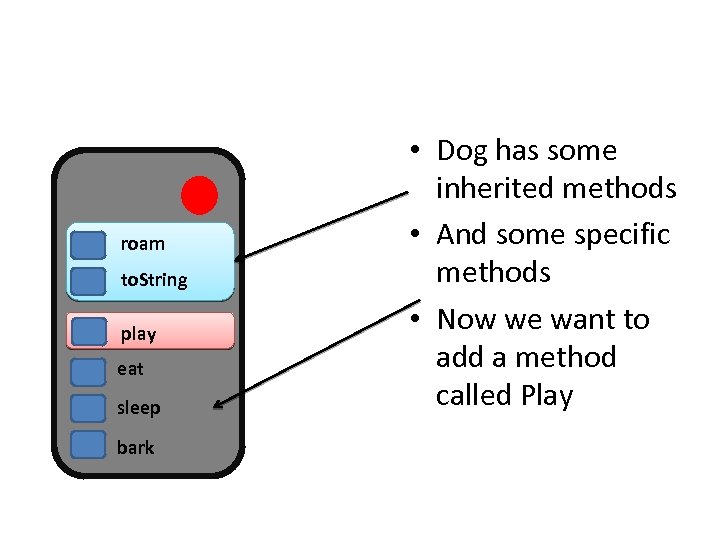 roam to. String play eat sleep bark • Dog has some inherited methods •