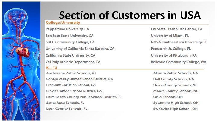 Section of Customers in USA 
