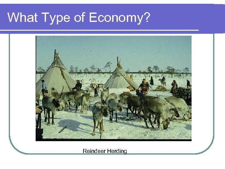 What Type of Economy? Reindeer Herding 