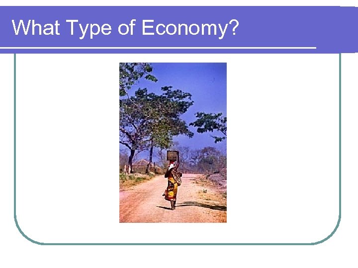 What Type of Economy? 