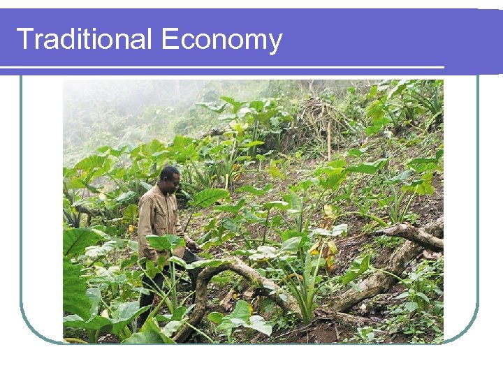 Traditional Economy 