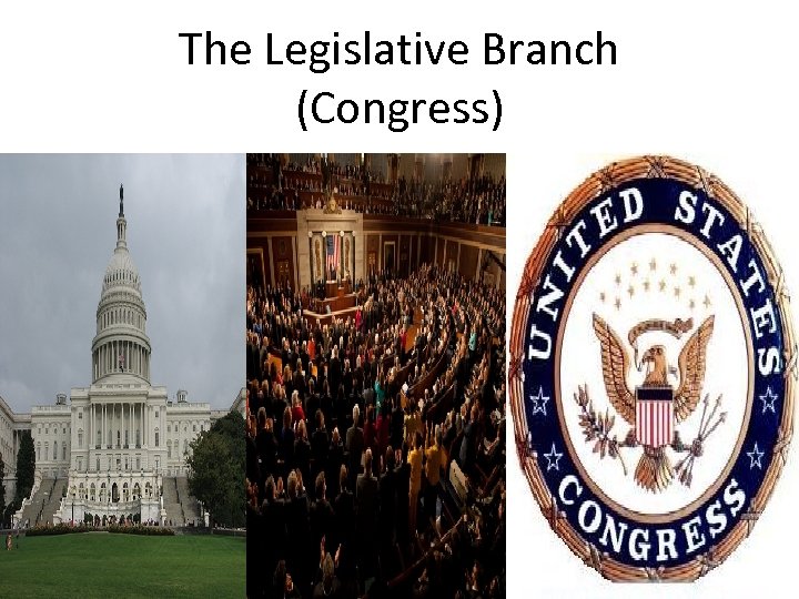 The Legislative Branch (Congress) 