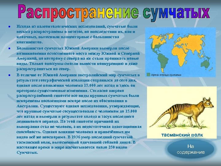 n n n Исходя из палеонтологических исследований, сумчатые были весьма распространены в мезозое, но