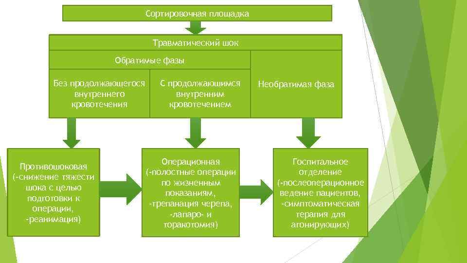 Травматический шок сдс презентация