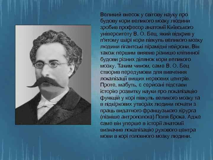 Великий внесок у світову науку про будову кори великого мозку людини зробив професор анатомії
