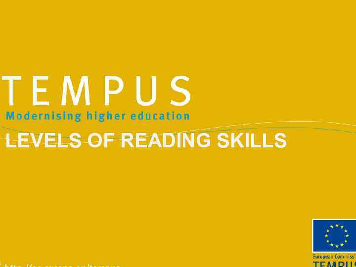 LEVELS OF READING SKILLS 