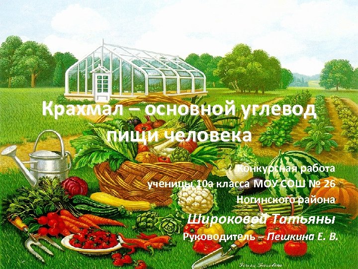 Крахмал – основной углевод пищи человека Конкурсная работа ученицы 10 а класса МОУ СОШ