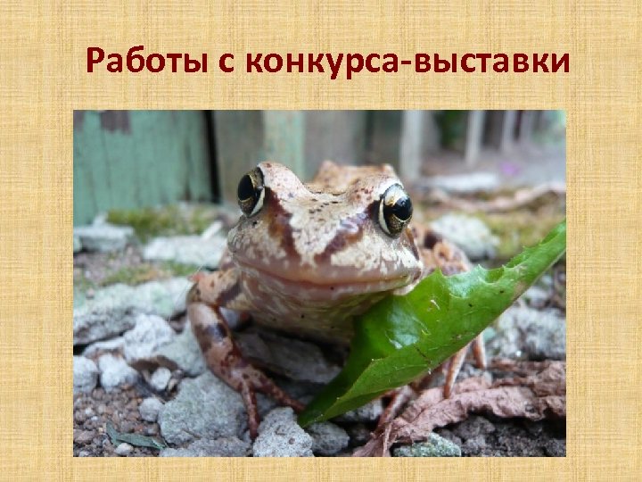 Работы с конкурса-выставки 