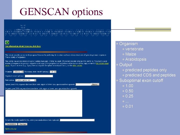 GENSCAN options 