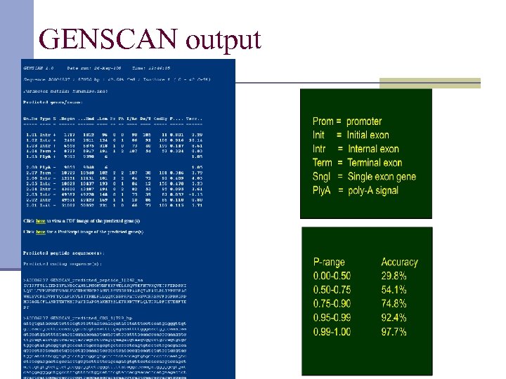 GENSCAN output 