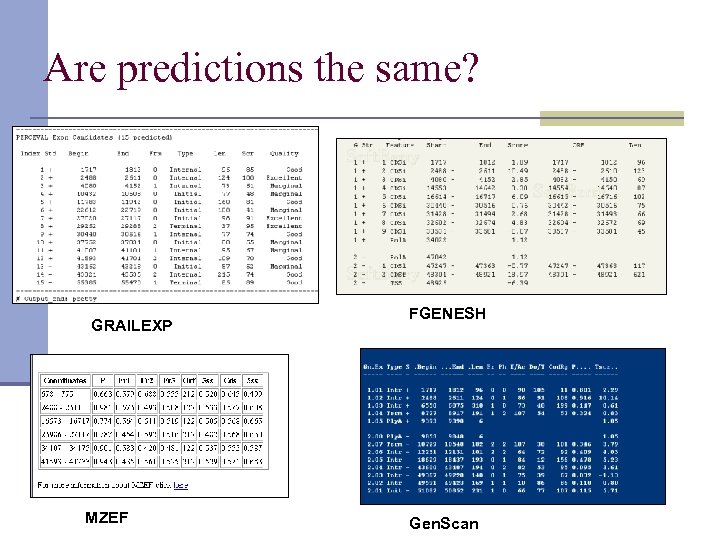 Are predictions the same? GRAILEXP MZEF FGENESH Gen. Scan 