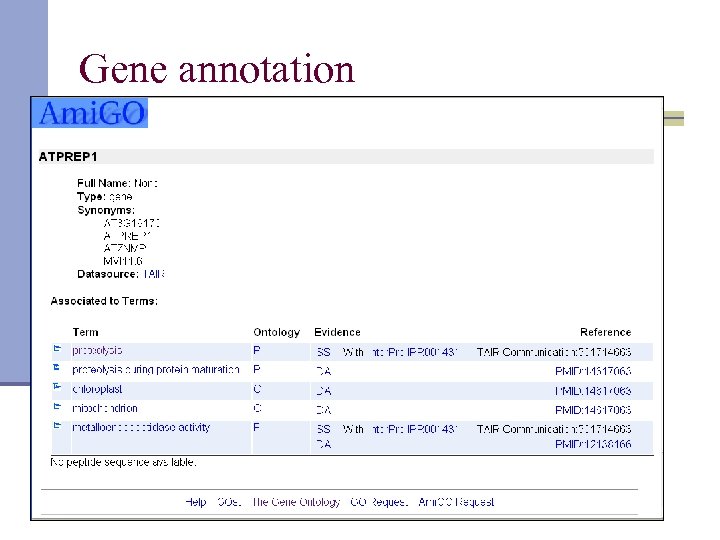 Gene annotation 