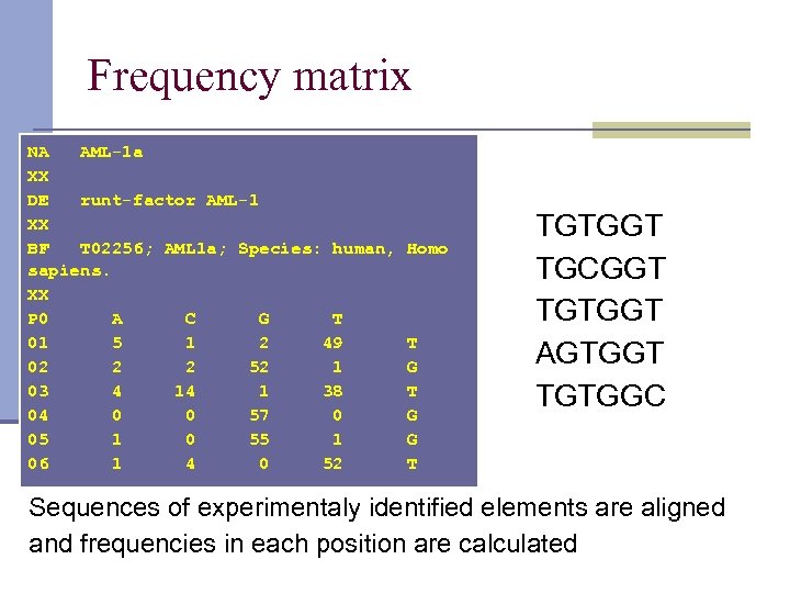 Frequency matrix NA AML-1 a XX DE runt-factor AML-1 XX BF T 02256; AML