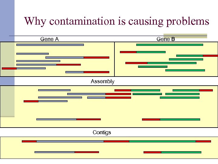 Why contamination is causing problems Gene A Gene B Assembly Contigs 