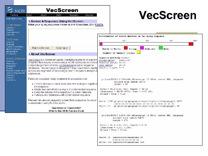 Vec. Screen http: //www. ncbi. nlm. nih. gov/Vec. Screen_docs. html 