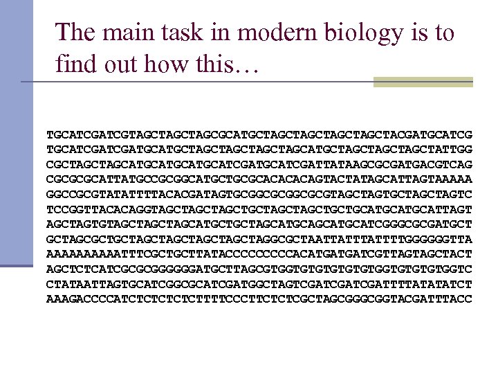 The main task in modern biology is to find out how this… TGCATCGTAGCTAGCGCATGCTAGCTAGCTACGATGCATCGATGCTAGCTAGCATGCTAGCTATTGG CGCTAGCATGCATCGATGCATCGATTATAAGCGCGATGACGTCAG