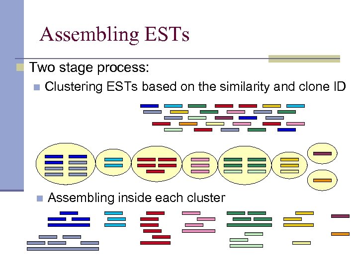 Assembling ESTs n Two stage process: n Clustering ESTs based on the similarity and