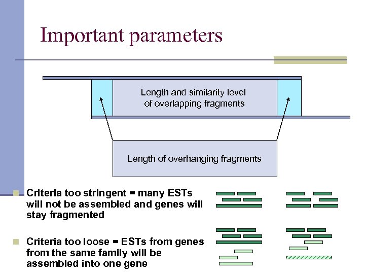 Important parameters Length and similarity level of overlapping fragments Length of overhanging fragments n