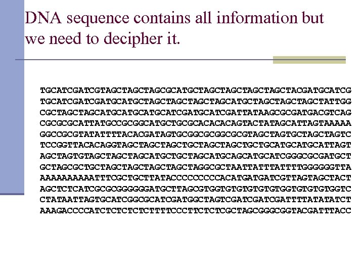 DNA sequence contains all information but we need to decipher it. TGCATCGTAGCTAGCGCATGCTAGCTAGCTACGATGCATCGATGCTAGCTAGCATGCTAGCTATTGG CGCTAGCATGCATCGATGCATCGATTATAAGCGCGATGACGTCAG CGCGCGCATTATGCCGCGGCATGCTGCGCACAGTACTATAGCATTAGTAAAAA