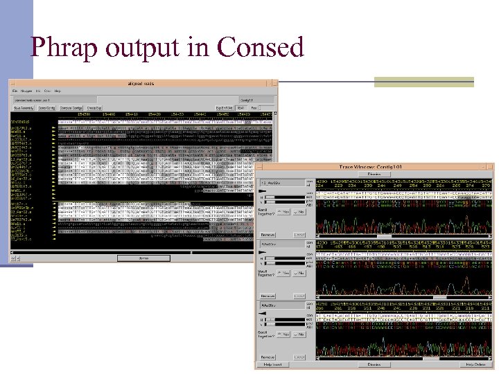 Phrap output in Consed 