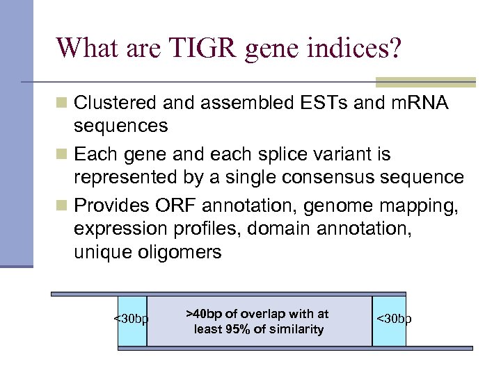 What are TIGR gene indices? n Clustered and assembled ESTs and m. RNA sequences