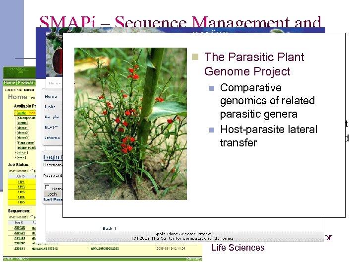 SMAPi – Sequence Management and Analysis Pipeline n The Parasitic Plant Genome Project Comparative