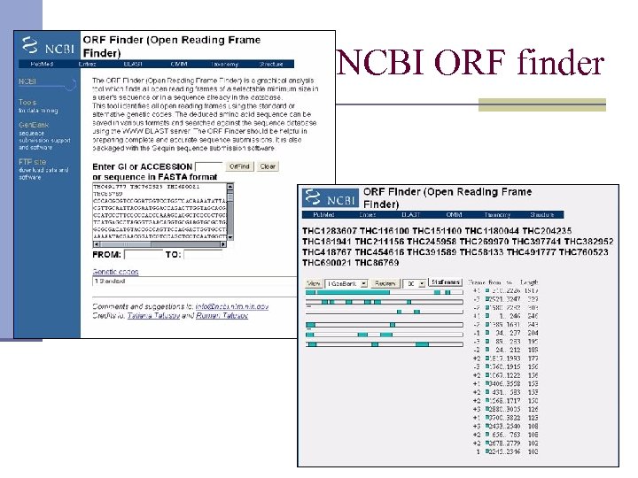 NCBI ORF finder 