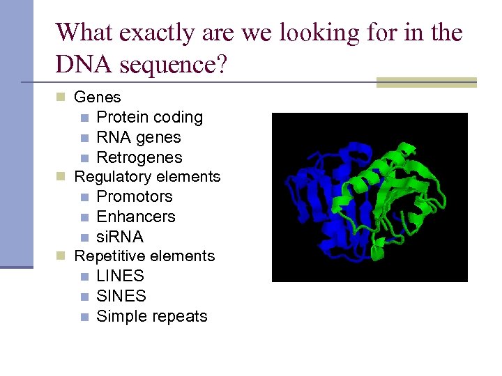 What exactly are we looking for in the DNA sequence? n Genes Protein coding