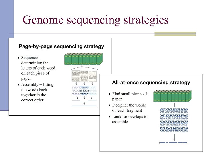 Genome sequencing strategies 