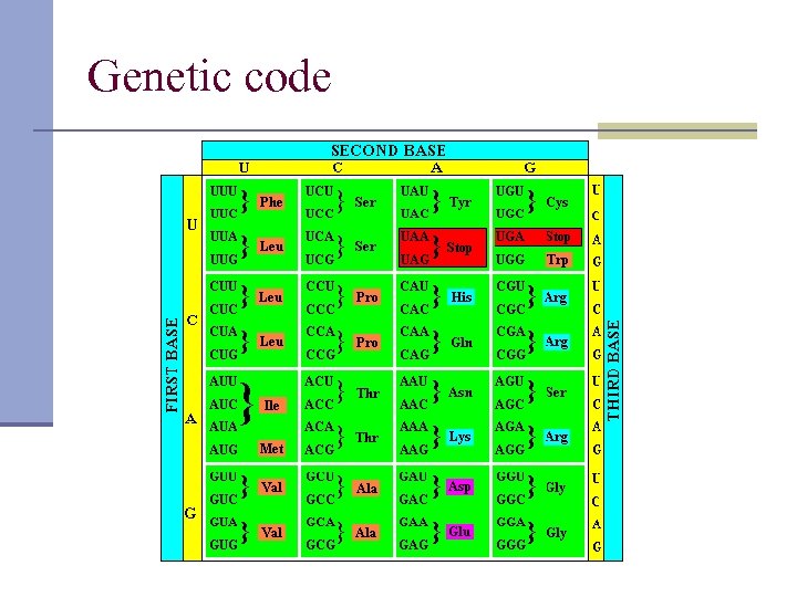 Genetic code 