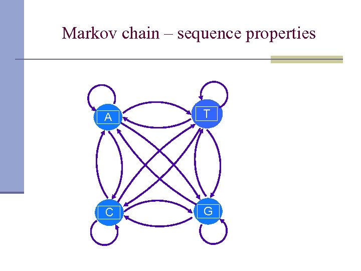 Markov chain – sequence properties A T C G 