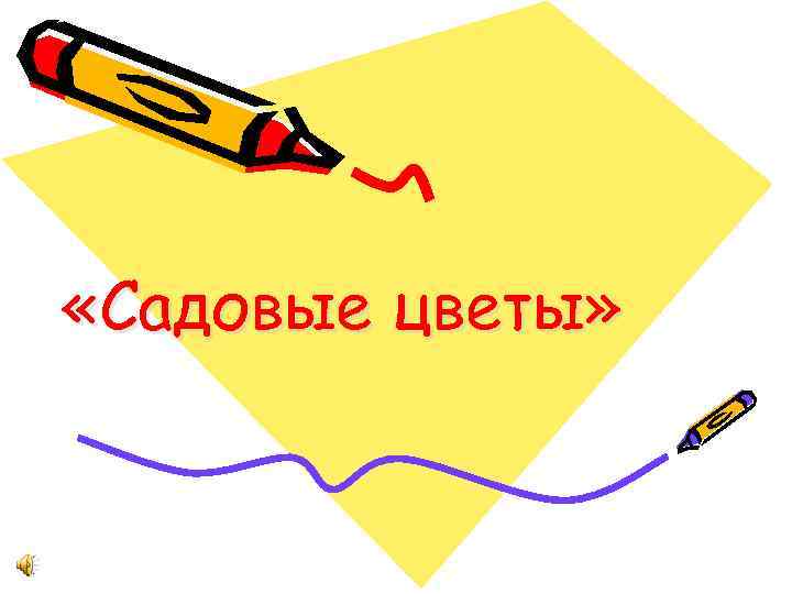 «Садовые цветы» 