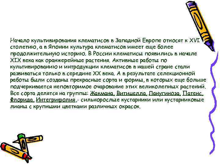Начало культивирования клематисов в Западной Европе относят к XVI столетию, а в Японии культура