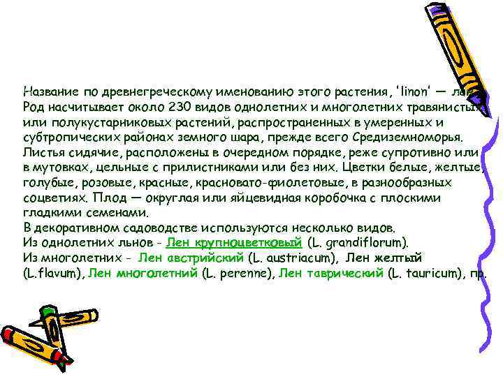 Название по древнегреческому именованию этого растения, 'linon' — лен. Род насчитывает около 230 видов