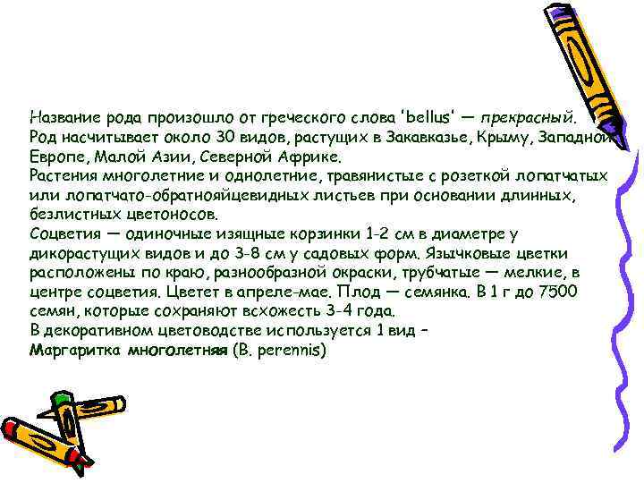 Название рода произошло от греческого слова 'bellus' — прекрасный. Род насчитывает около 30 видов,