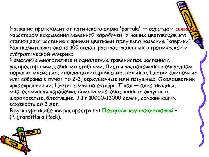 Название происходит от латинского слова 'portula' — воротца и связано с характером вскрывания семенной