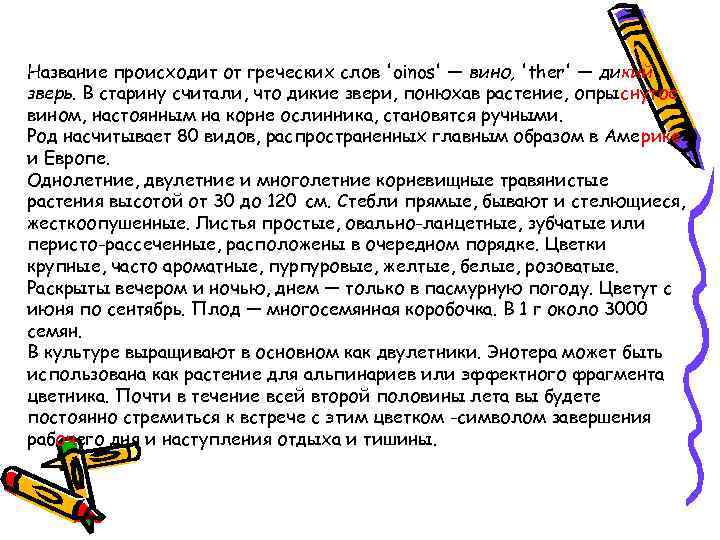 Название происходит от греческих слов 'oinos' — вино, 'ther' — дикий зверь. В старину